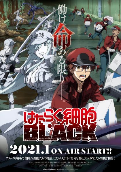 はたらく細胞black 21年1月tvアニメ化決定 アキバ総研