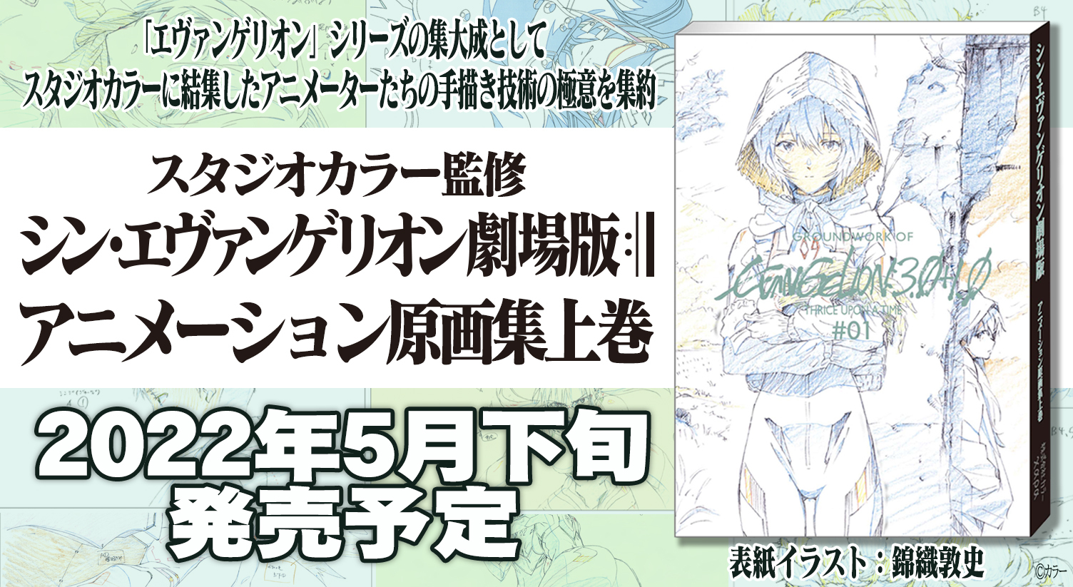 エヴァ原画、設定資料、映画特典 - アート/エンタメ/ホビー