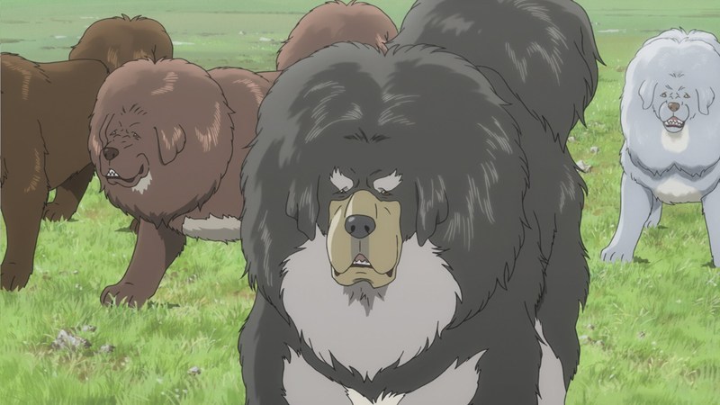 チベット犬物語 金色のドージェ アニメ映画 アキバ総研