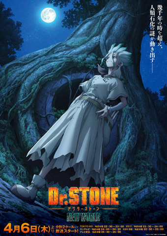 Dr.STONE NEW WORLD（第1クール）（テレビアニメ） - アキバ総研